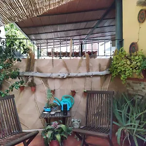 Habitación en casa particular Cool Garden And, Mairena del Aljarafe